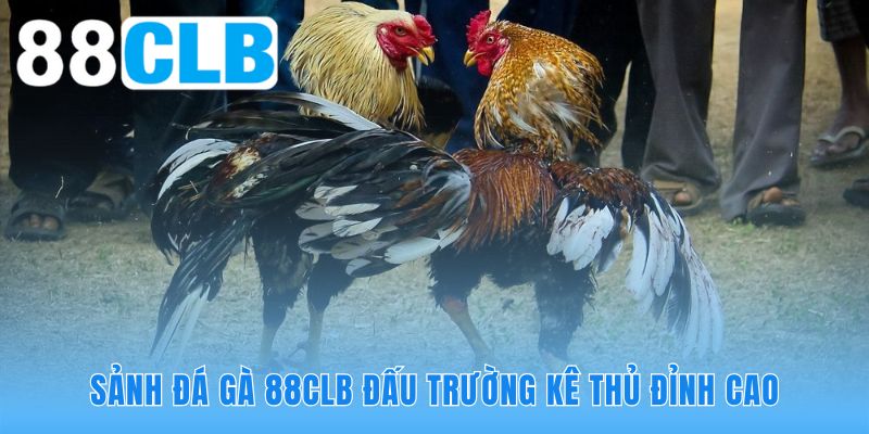 Hướng dẫn tham gia đặt cược nhanh gọn với quy trình ba bước
